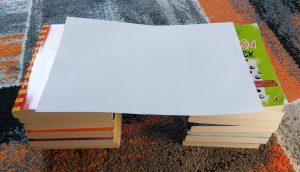 Read more about the article Exploration #2: The Paper Bridge Challenge